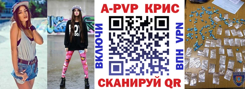 Альфа ПВП СК КРИС  Майкоп 