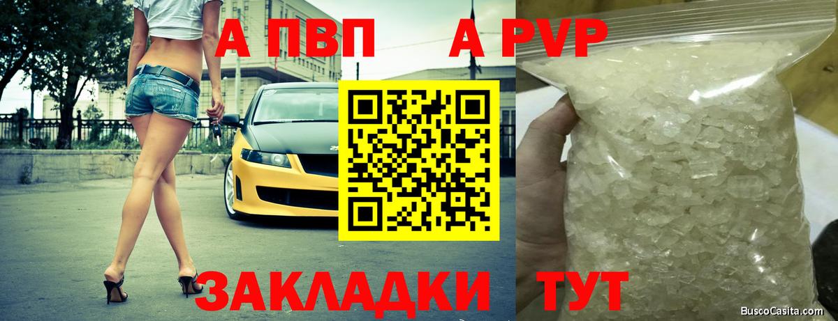 A PVP СК КРИС Майкоп