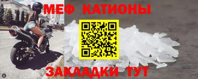 прущие грибы Ярцево
