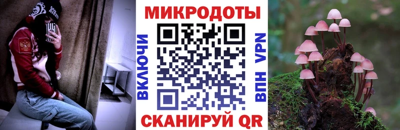 Псилоцибиновые грибы Magic Shrooms  mega как войти  Майкоп 