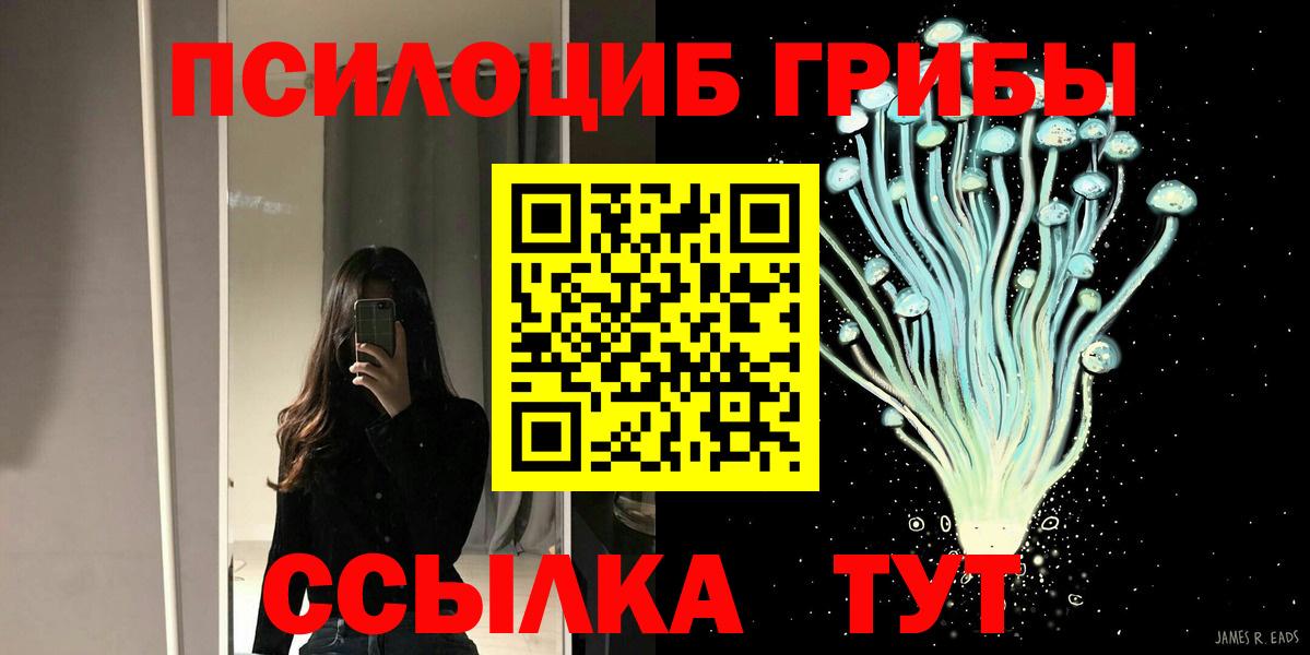 Псилоцибиновые грибы Magic Shrooms  Вход с VPN  Галлюциногенные грибы Cubensis  Майкоп 